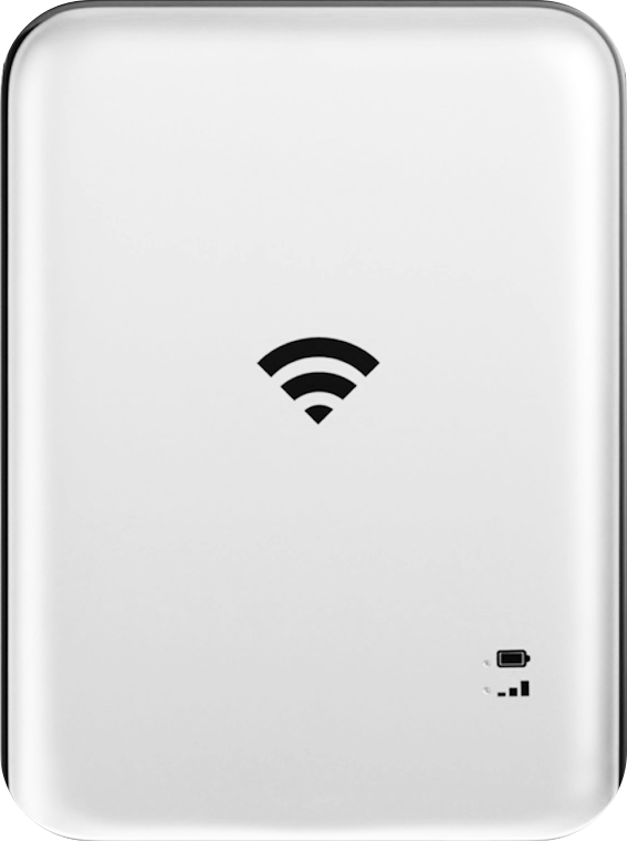 Arctic White